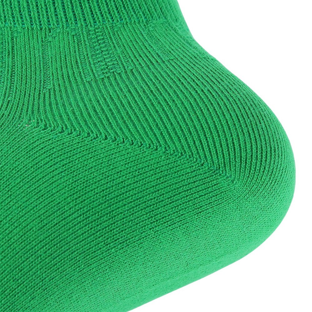 ポロ ラルフローレン（Polo Ralph Lauren）（レディース）婦人 ソックス 1足組 3207858-55