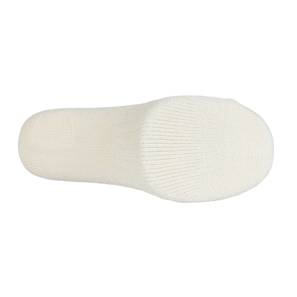 その他ブランド（OTHER BRAND）（レディース）クルーライン ソックス 1足組 895CO5GSA0084 OWHT