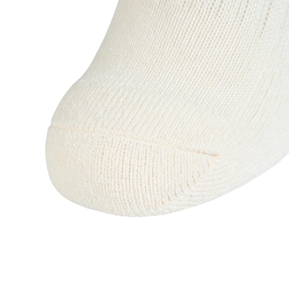 その他ブランド（OTHER BRAND）（レディース）クルーライン ソックス 1足組 895CO5GSA0084 OWHT