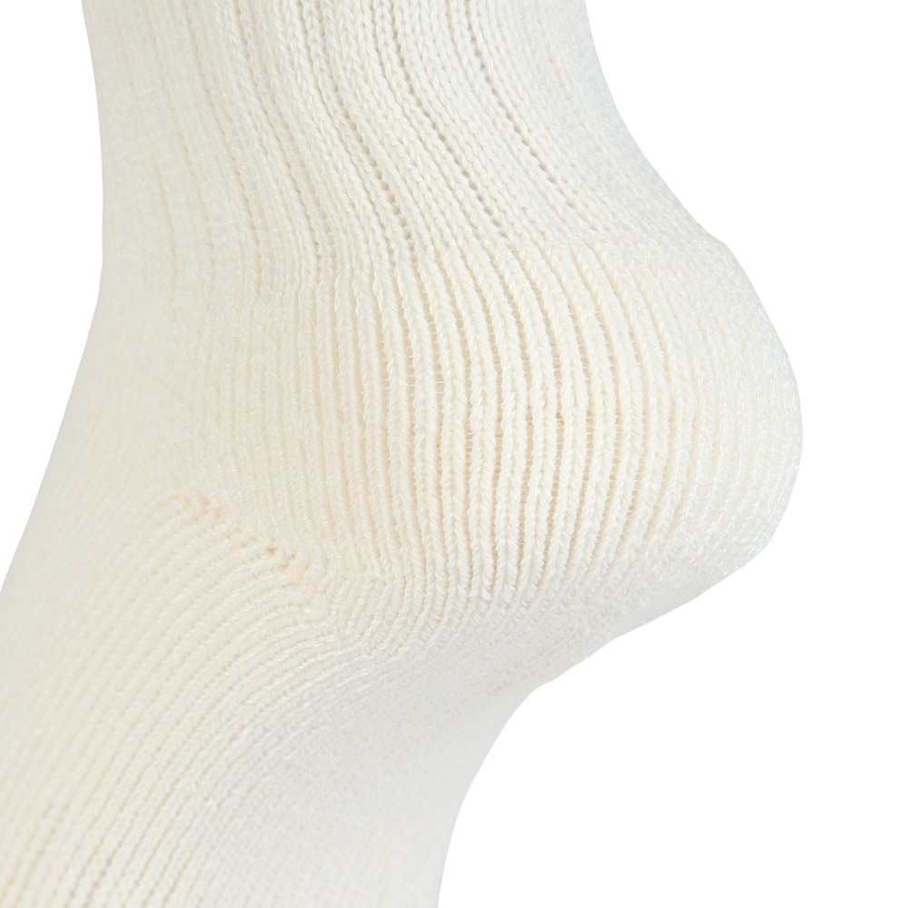 その他ブランド（OTHER BRAND）（レディース）クルーライン ソックス 1足組 895CO5GSA0084 OWHT