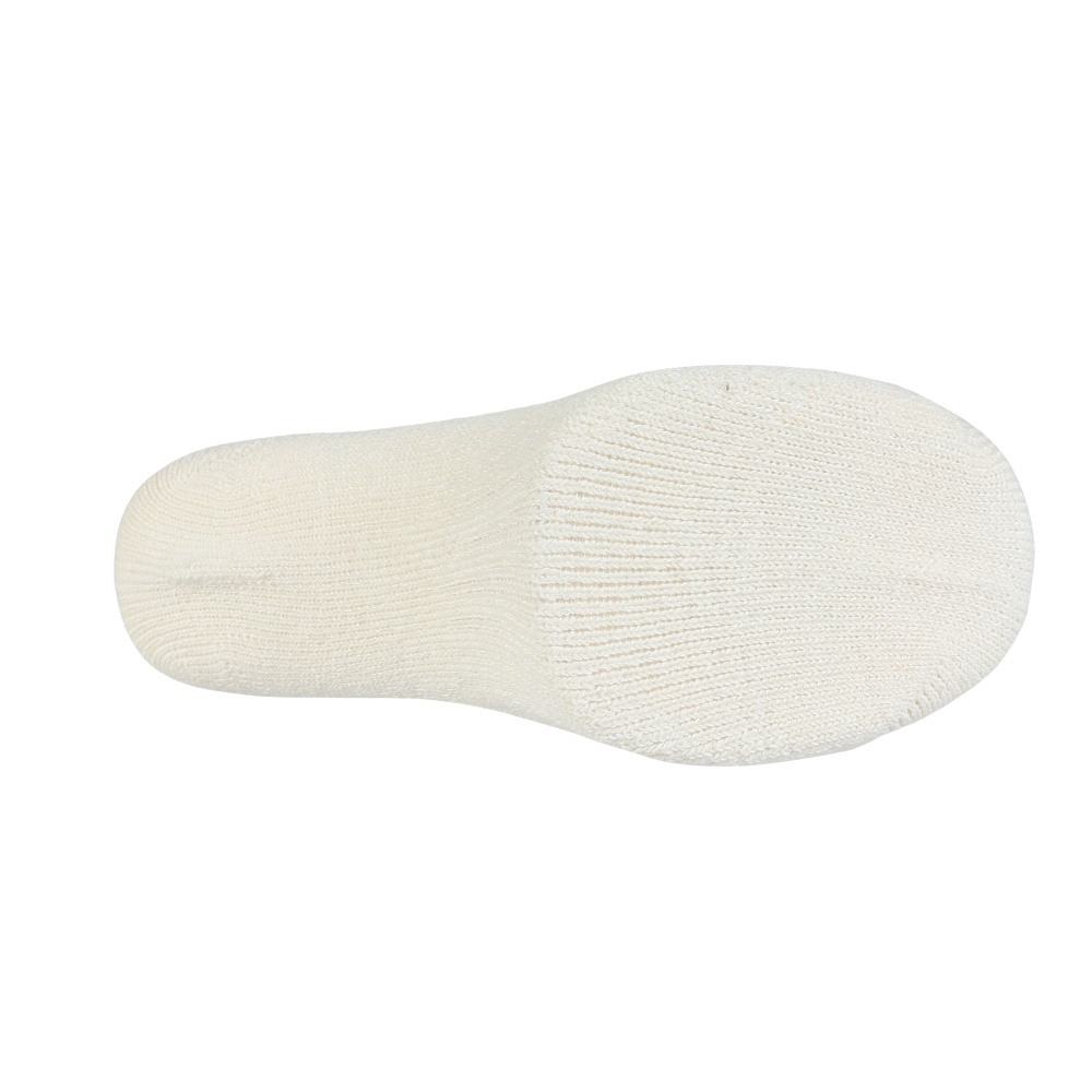 その他ブランド（OTHER BRAND）（レディース）クルーライン ソックス 1足組 895CO5GSA0085 OWHT