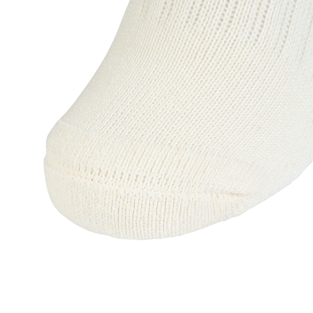 その他ブランド（OTHER BRAND）（レディース）クルーライン ソックス 1足組 895CO5GSA0085 OWHT