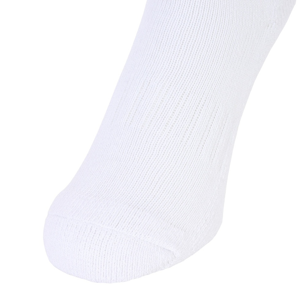 クー（Coo.）（レディース）クルー ラインソックス 895Q3OK0093 GRY 22cm