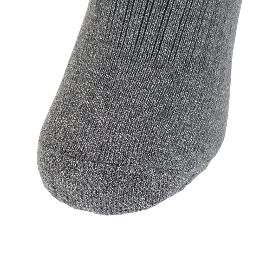 エアボーン（ARBN）（キッズ）ジュニア HEAT-X クルーソックス GRY/CGY 雪 2足組 AB43AC1593 GRY19 防寒