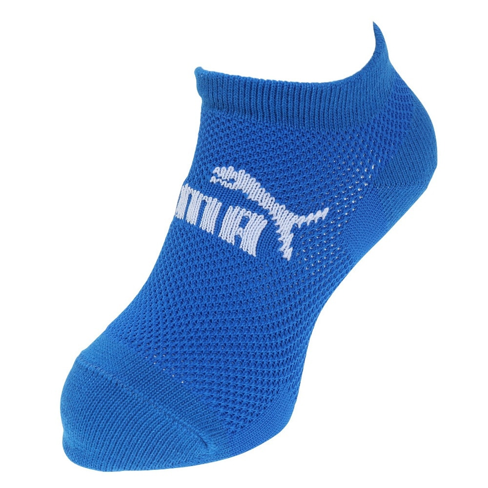 プーマ（PUMA）（キッズ）ジュニアソックス 3足組 4293152-02-1921