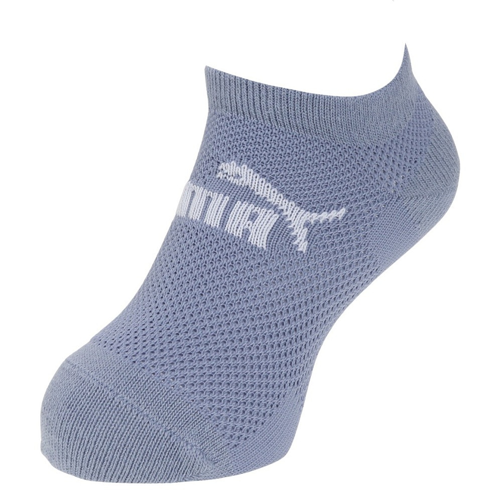 プーマ（PUMA）（キッズ）ジュニアソックス 3足組 4293152-04-1921