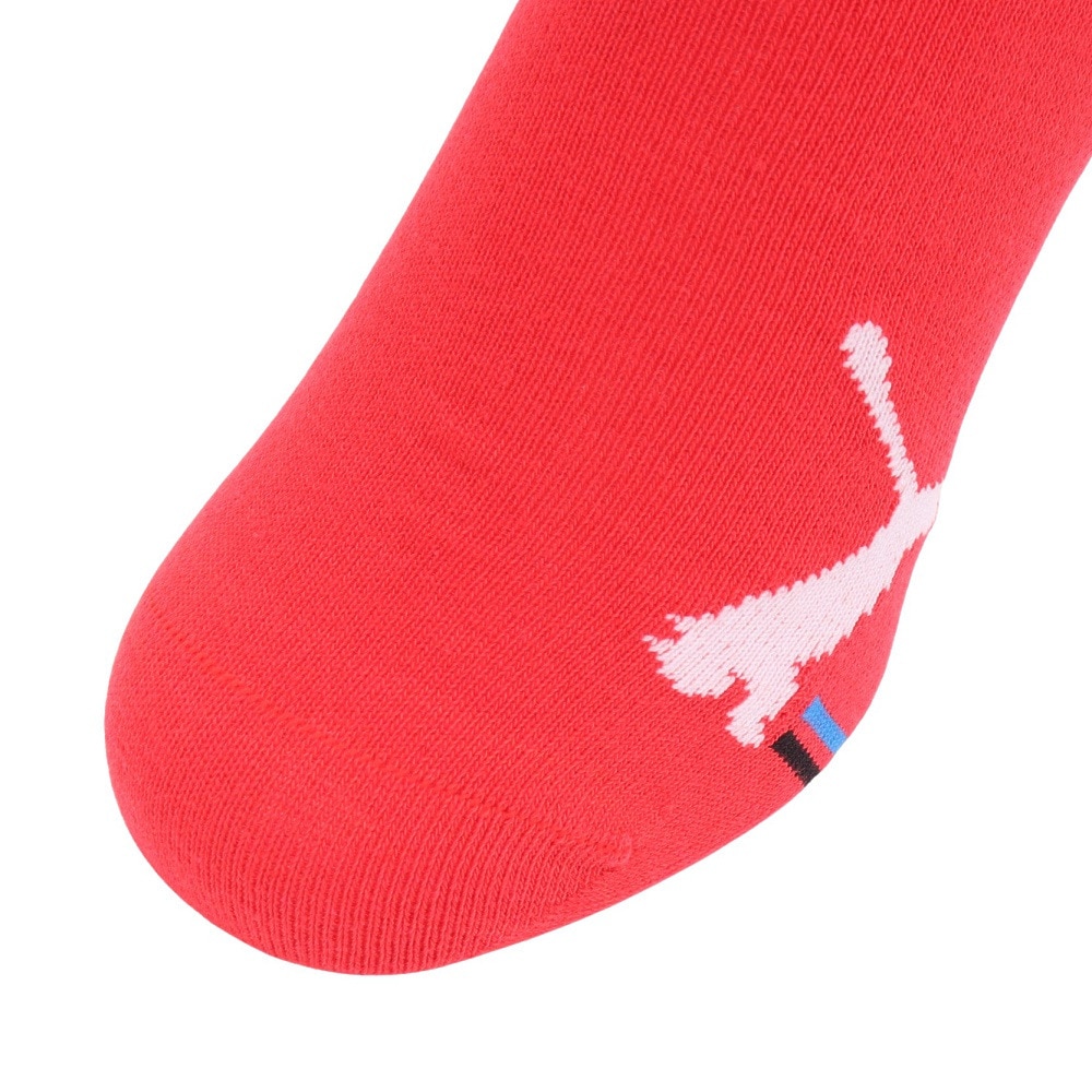 プーマ（PUMA）（キッズ）靴下 ジュニア キャットスニーカーソックス 3足組 21センチ 23センチ 4293400-01 運動 スポーツ 新調