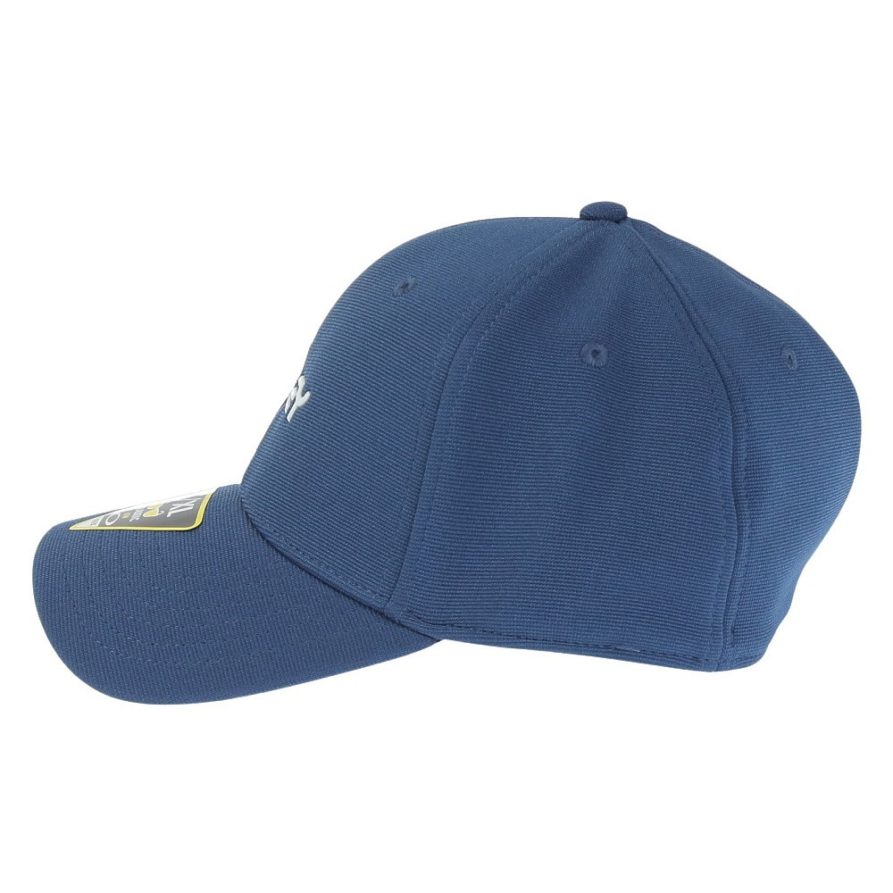 オークリー（OAKLEY）（メンズ）6 Panel Stretch Metallic Hat キャップ 912209-9QM 帽子 吸汗速乾