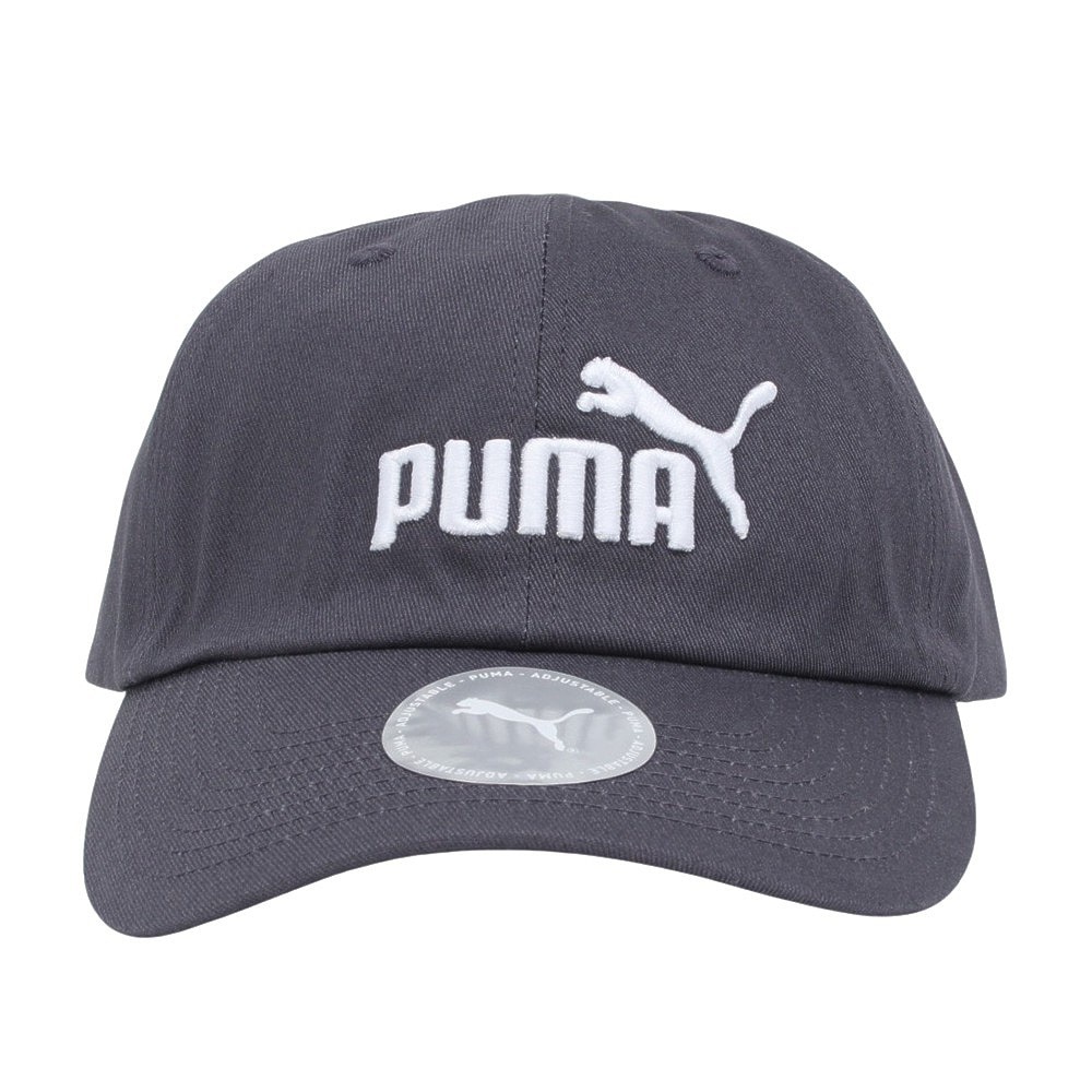 プーマ（PUMA）（メンズ、レディース）エッセンシャル プーマ NO.1 ロゴ BB キャップ 02435718 帽子 グレー