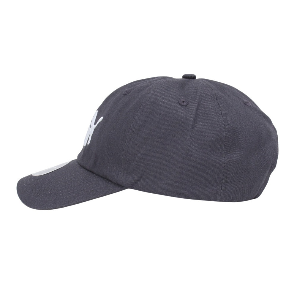 プーマ（PUMA）（メンズ、レディース）エッセンシャル プーマ NO.1 ロゴ BB キャップ 02435718 帽子 グレー