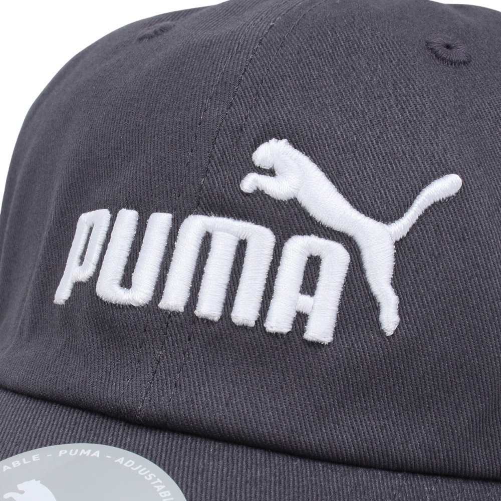 プーマ（PUMA）（メンズ、レディース）エッセンシャル プーマ NO.1 ロゴ BB キャップ 02435718 帽子 グレー