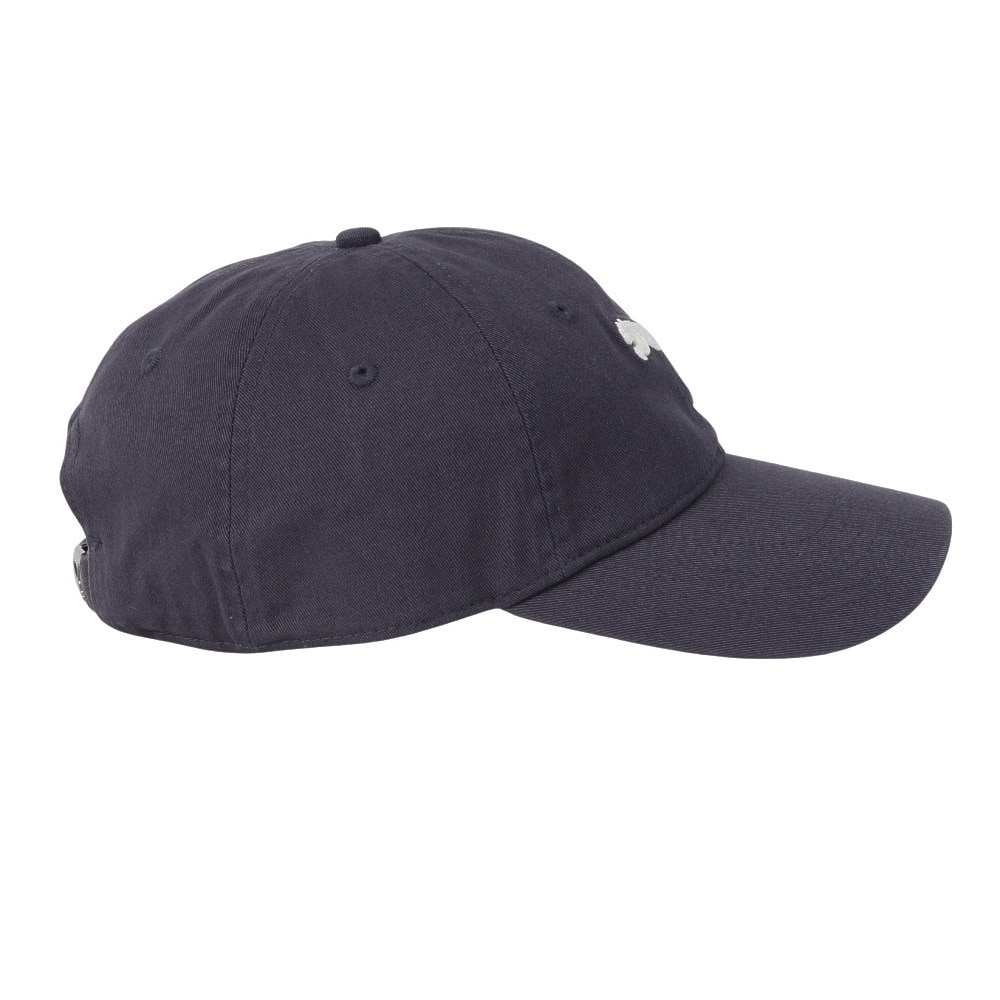 プーマ（PUMA）（メンズ、レディース）ELEVATEDDAD キャップ 02550601 帽子 グレー
