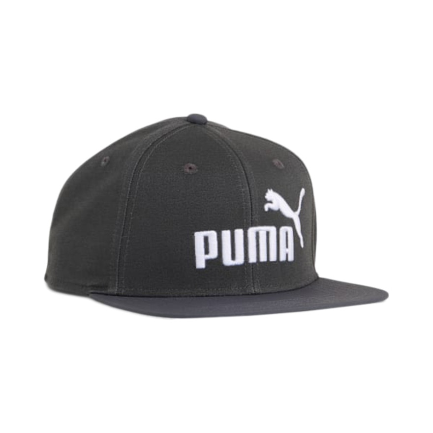 プーマ（PUMA）（メンズ、レディース）ESS NO 1 ロゴ フラット ブリム キャップ 02599203