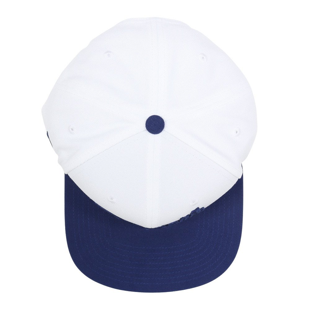 ナイキ（NIKE）（メンズ、レディース）キャップ BILL NB09-195V-KB-F0J