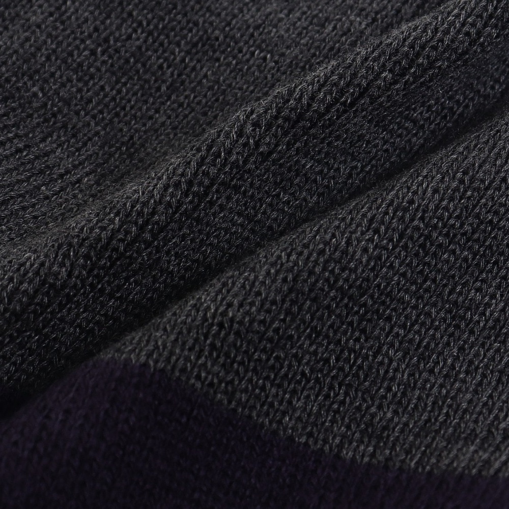 デサント（DESCENTE）（メンズ）ニット帽 ジャガードニットキャップ DMAWJC72 NV 防寒 フリーサイズ 抗菌防臭 紺