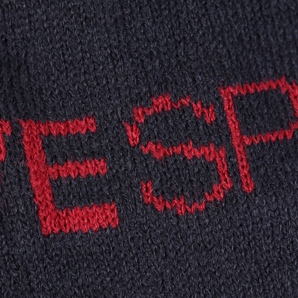 デサント（DESCENTE）（メンズ、レディース）HEATNAVI リブニットキャップ ST5FCP41U NV00