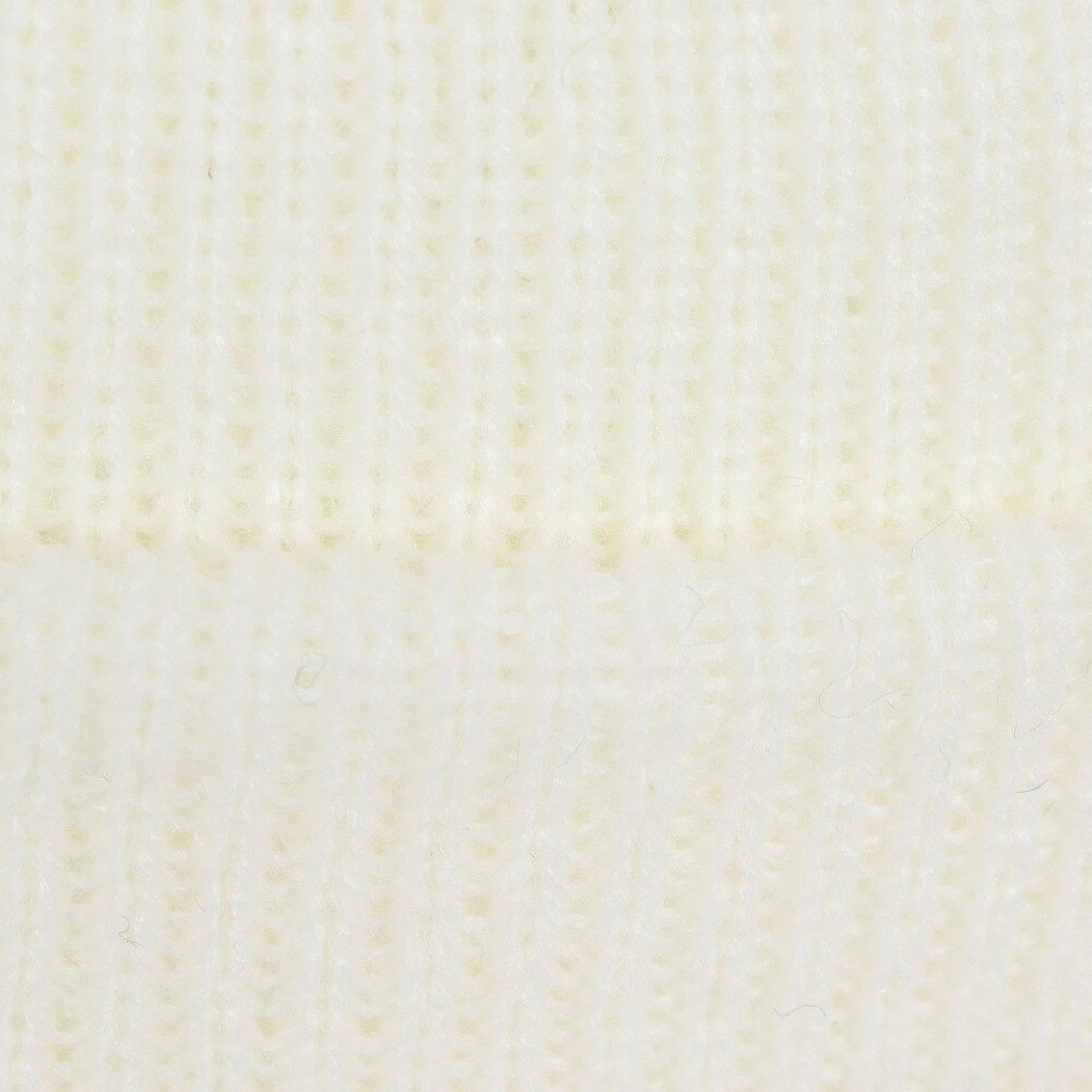 ライズ（RYZ）（メンズ、レディース）ニット帽 ベーシックカフワッチ RZ20ST23FW0020 WHT 防寒