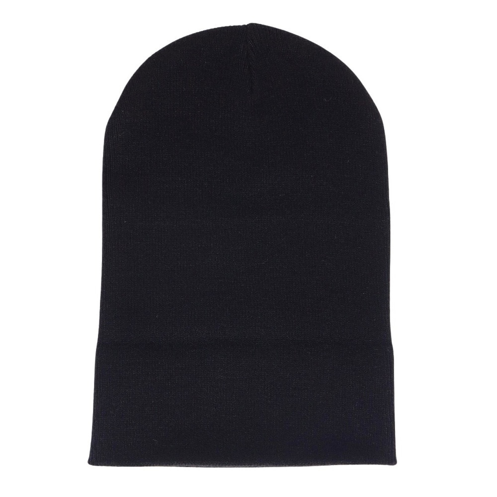 カーハート（CARHARTT）（メンズ）ニット帽 SCRIPT ビーニー I0308840D2XX23FW 防寒 フリーサイズ 黒