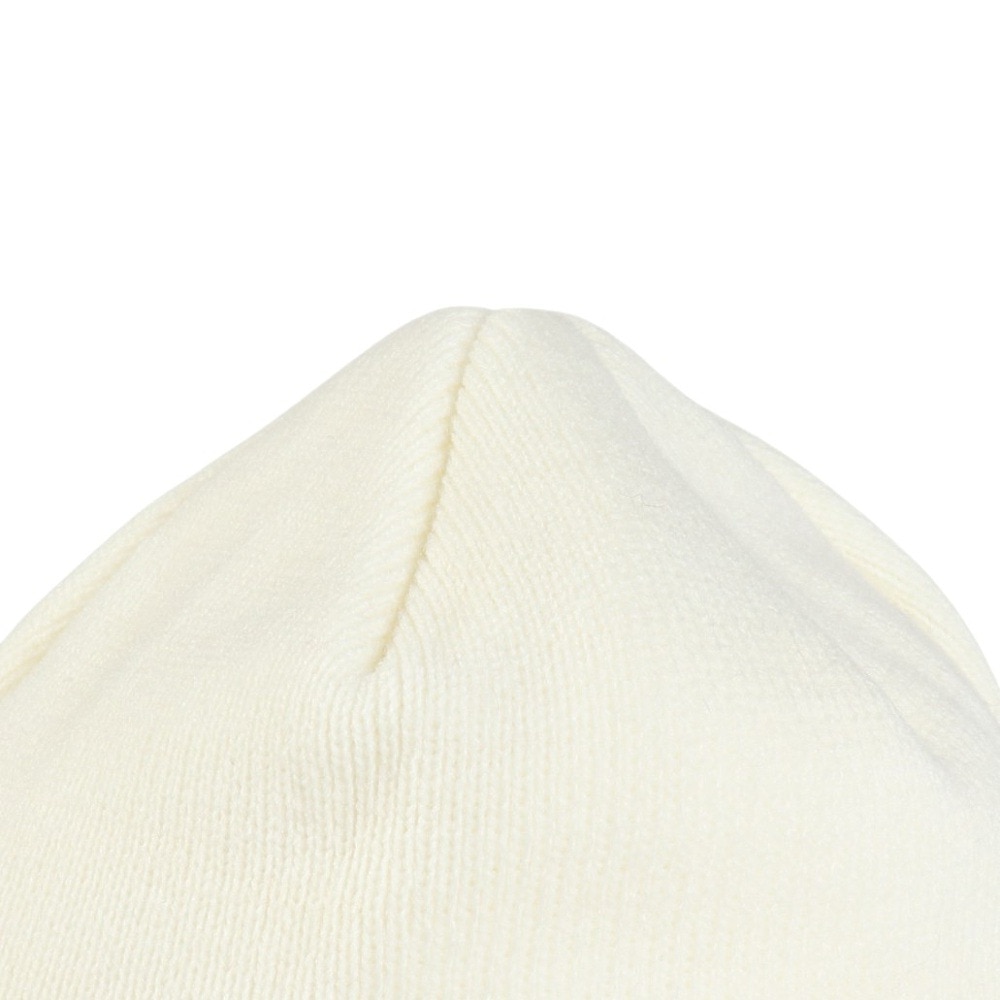 ライズ（RYZ）（メンズ）ニット帽 ベーシック ビーニー RZ20ST24FW0021 WHT フリーサイズ 白