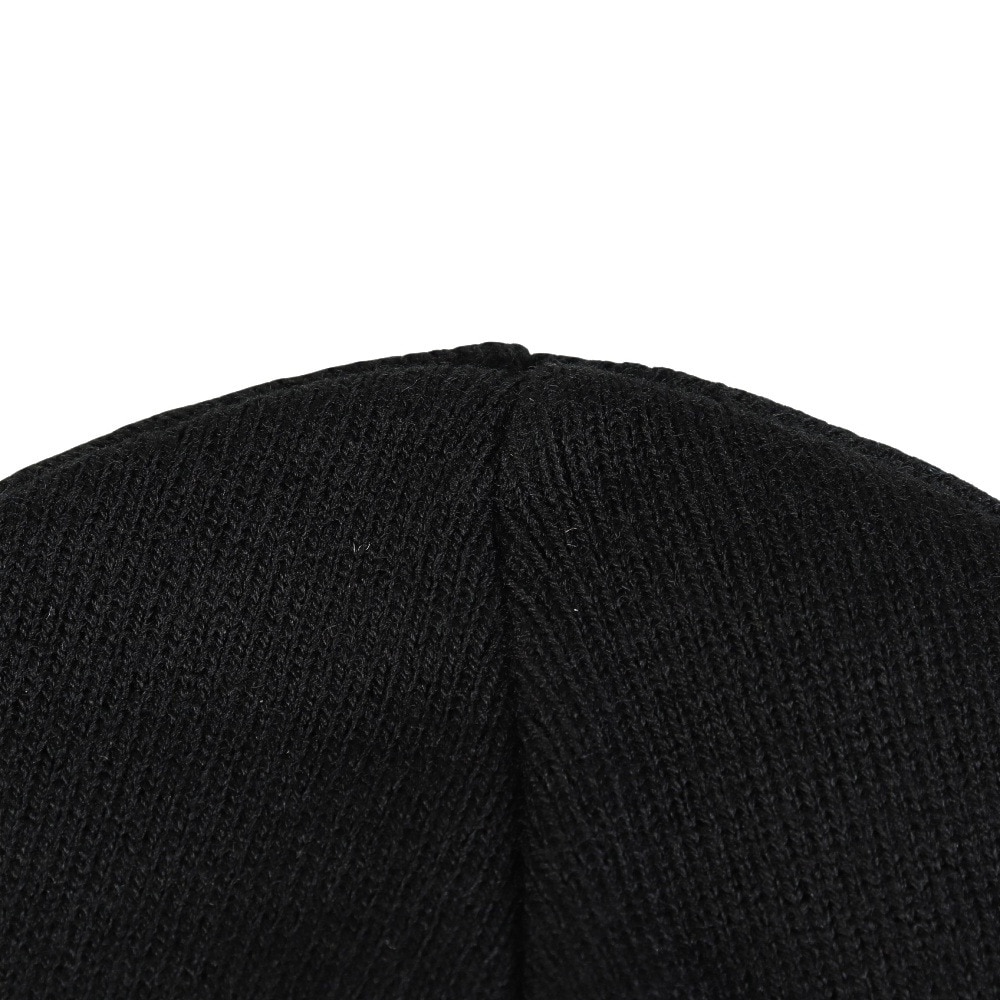 カーハート（CARHARTT）（メンズ、レディース）ニットキャップ アメリカン スクリプトビーニー I03423589XX25FW