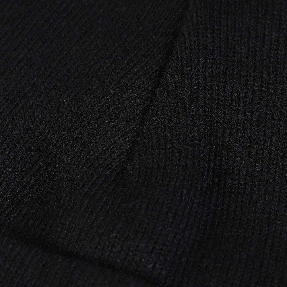 カーハート（CARHARTT）（メンズ、レディース）ニットキャップ アメリカン スクリプトビーニー I03423589XX25FW