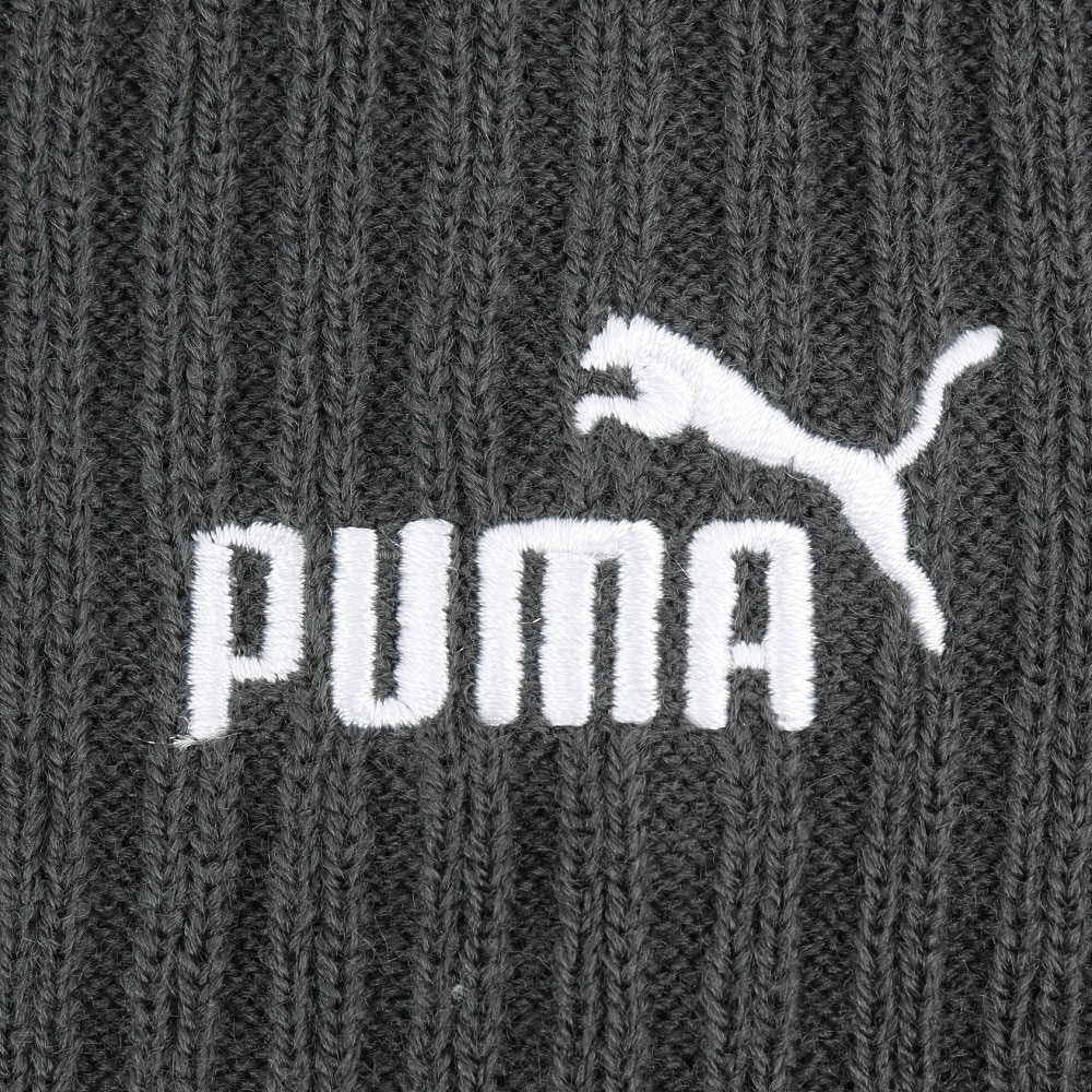 プーマ（PUMA）（メンズ、レディース）ニット帽 ユニセックス ポム ビーニー 02546903 グレー フリーサイズ ポンポン