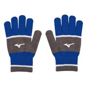 ミズノ（MIZUNO）（メンズ、レディース）手袋 防寒 グローブ 青 32JY150272 