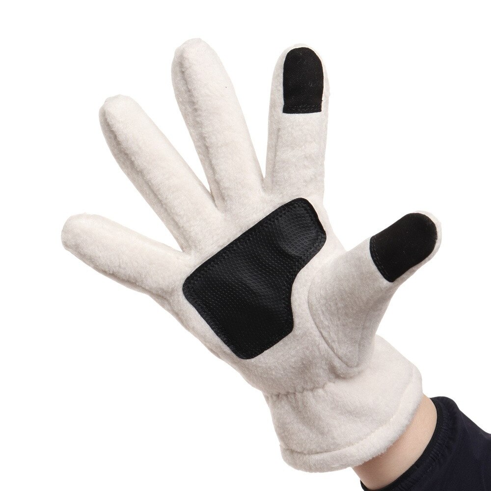その他ブランド（OTHER BRAND）（メンズ、レディース）手袋 防水防風グローブ Lサイズ 900NN2SN0349 防寒 スマホ対応