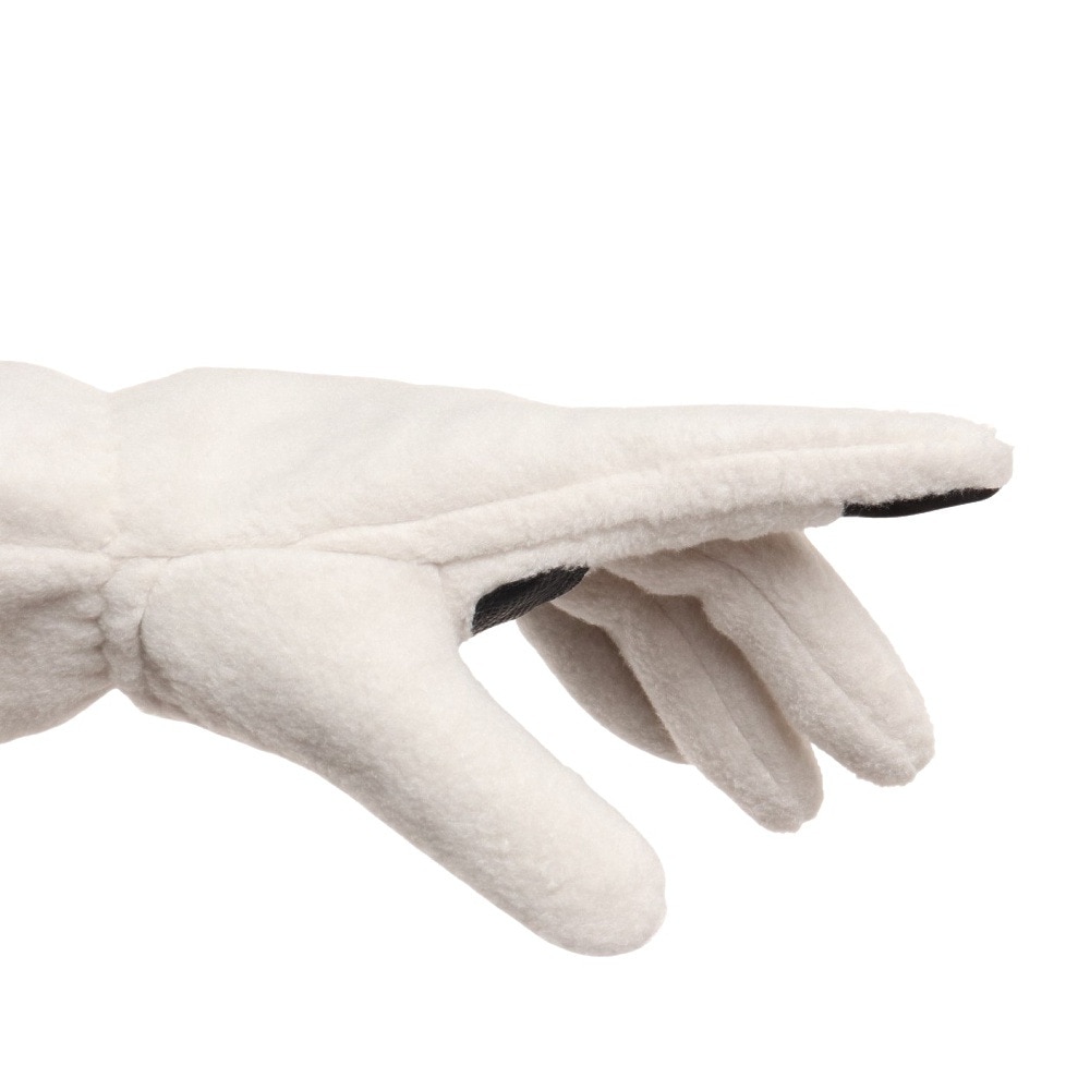 その他ブランド（OTHER BRAND）（メンズ、レディース）手袋 防水防風グローブ Lサイズ 900NN2SN0349 防寒 スマホ対応