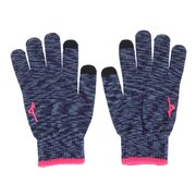ミズノ（MIZUNO）（メンズ、レディース）タッチパネル対応 手袋 32JY250414