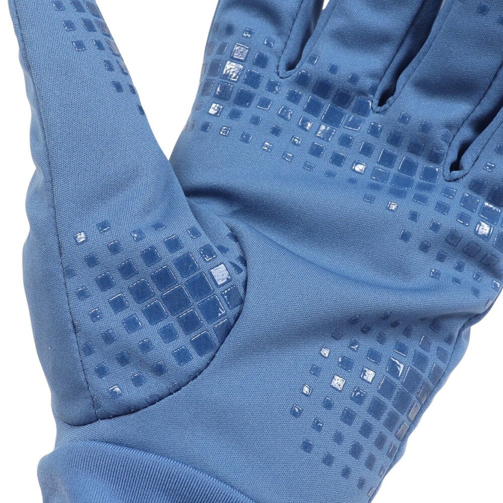 ジローム（GIRAUDM）（メンズ、レディース）手袋 ヒートクロス防水・防風グローブ 防寒 WG3F0015-WA900-GRSN BLU