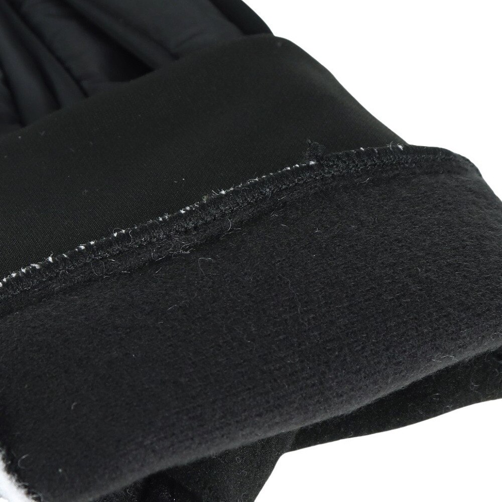 ノースフェイス（THE NORTH FACE）（メンズ）手袋 スマホ対応 ヌプシイーチップグローブ 防寒 保温 NN62310 NT