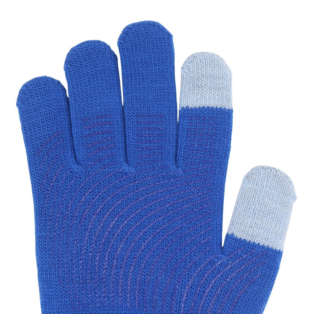 ナイキ（NIKE）（キッズ）ジュニア ニット テック&グリップ グローブ グラフィック 3.0 両手用 CW3031-466