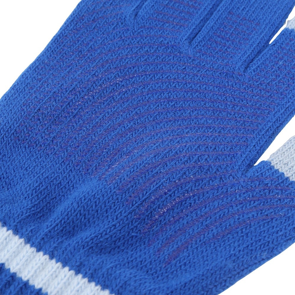 ナイキ（NIKE）（キッズ）ジュニア ニット テック&グリップ グローブ グラフィック 3.0 両手用 CW3031-466