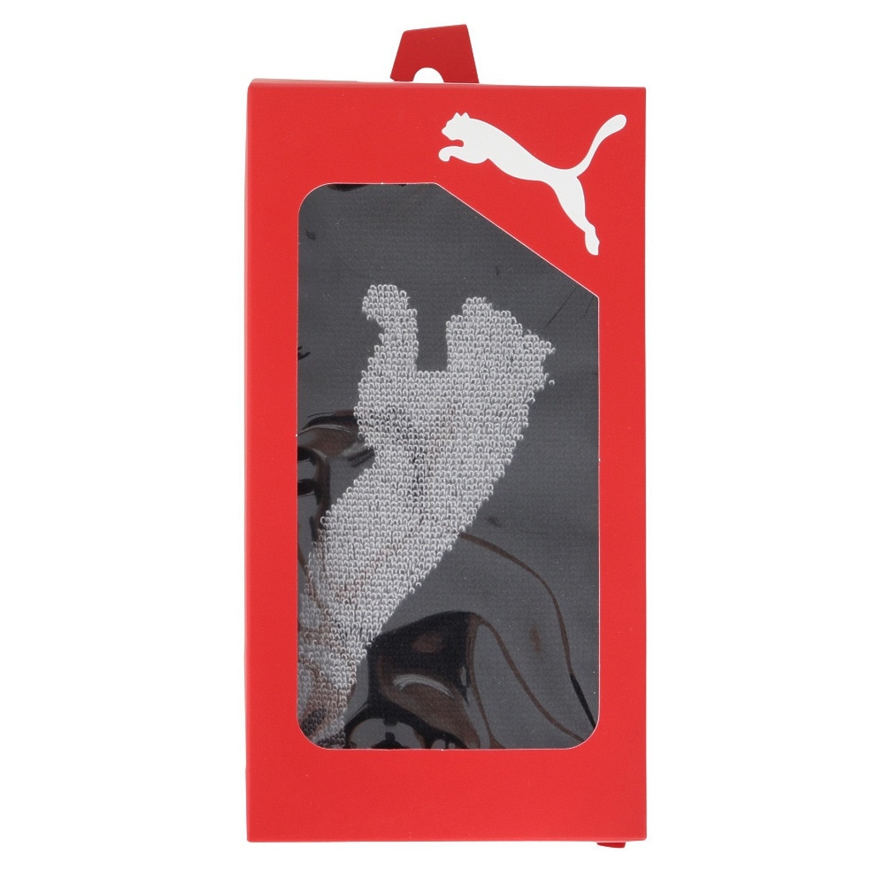 プーマ（PUMA）（メンズ、レディース、キッズ）ボックスタオル N2 05466901