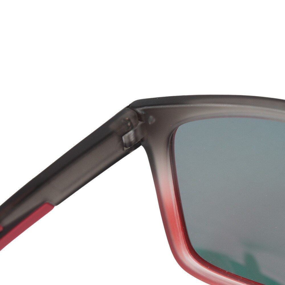 クールアイズジャパン（Cool Eyes Japan）（メンズ）サングラス CEJ RT5002-6 偏光 UV