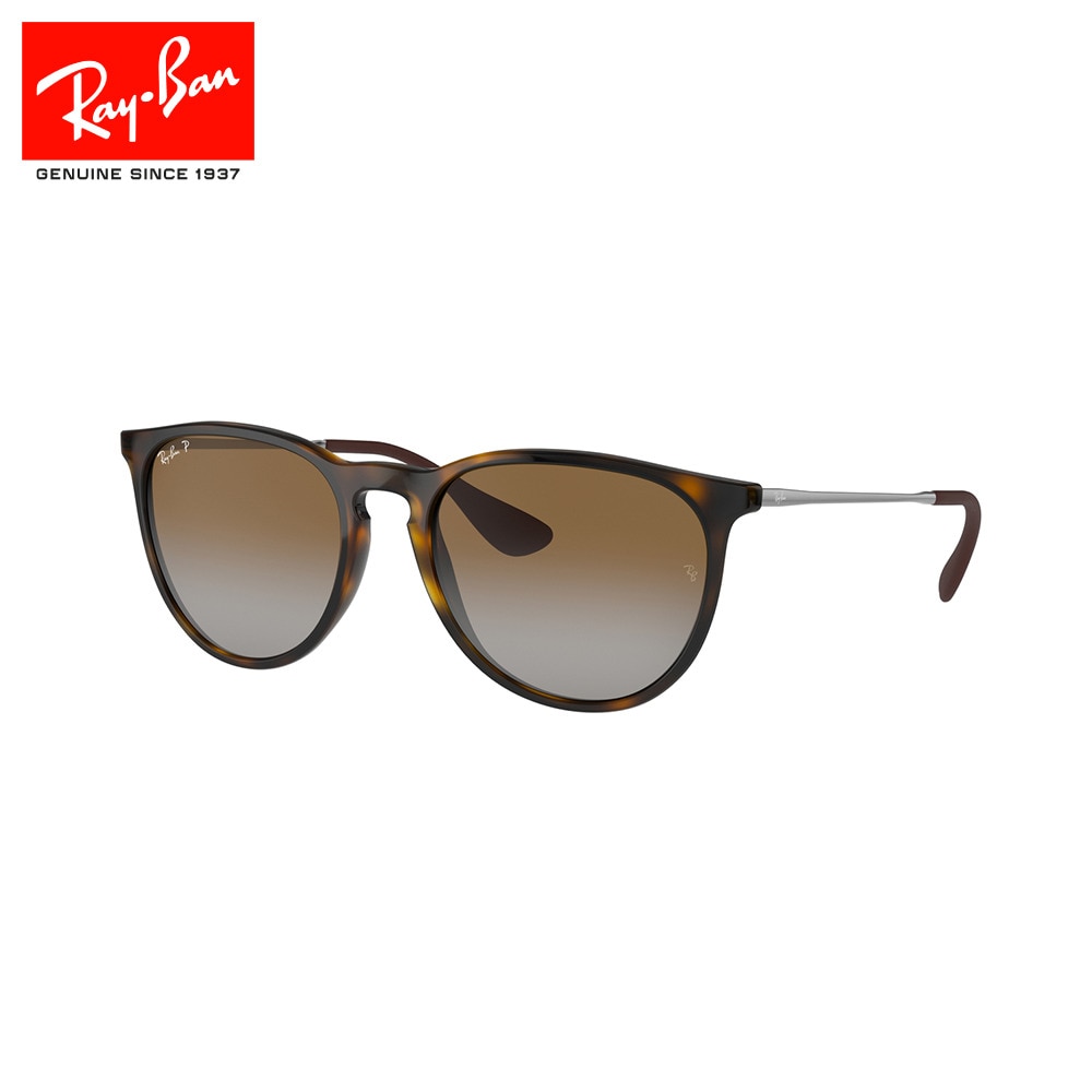 レイバン（RAY-BAN）（メンズ）Erika 0RB4171F710/T554 ケース付 サングラス UV