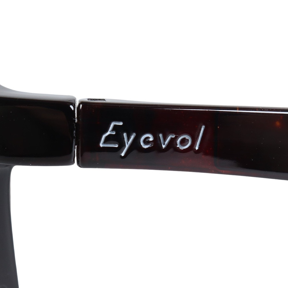 アイヴォル（EYEVOL）（メンズ）サングラス LEIFER3 (49) 49 DM-LY-MBLPL