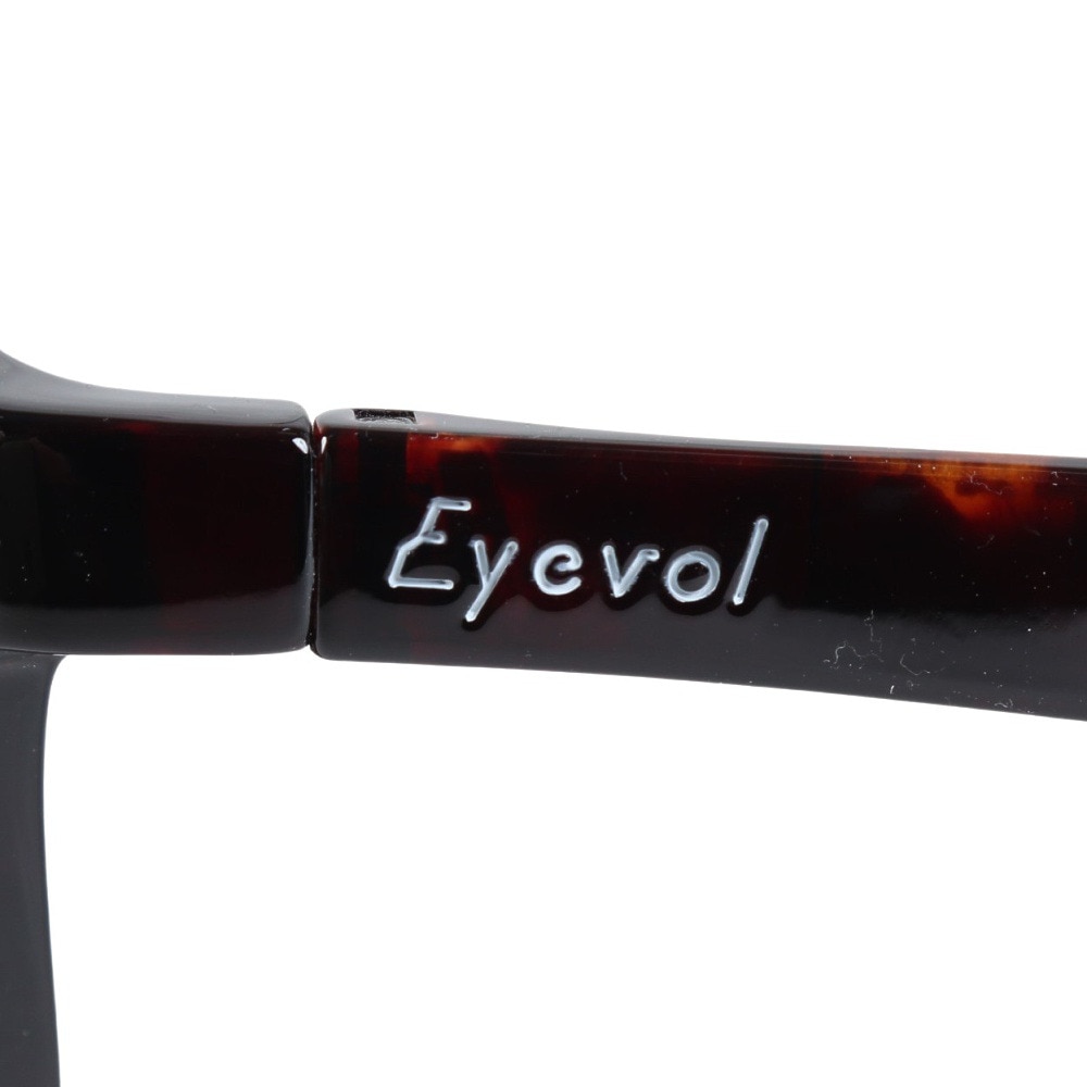 アイヴォル（EYEVOL）（メンズ）サングラス LEIFER3 (49) 49 DM-LY-PL-BK PL