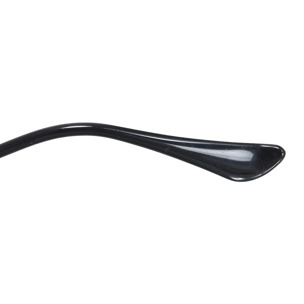 レイバン（RAY-BAN）（メンズ）サングラス RB4334D 4334D601/1955 ファッション用グラス ローブリッジフィット 大きめ