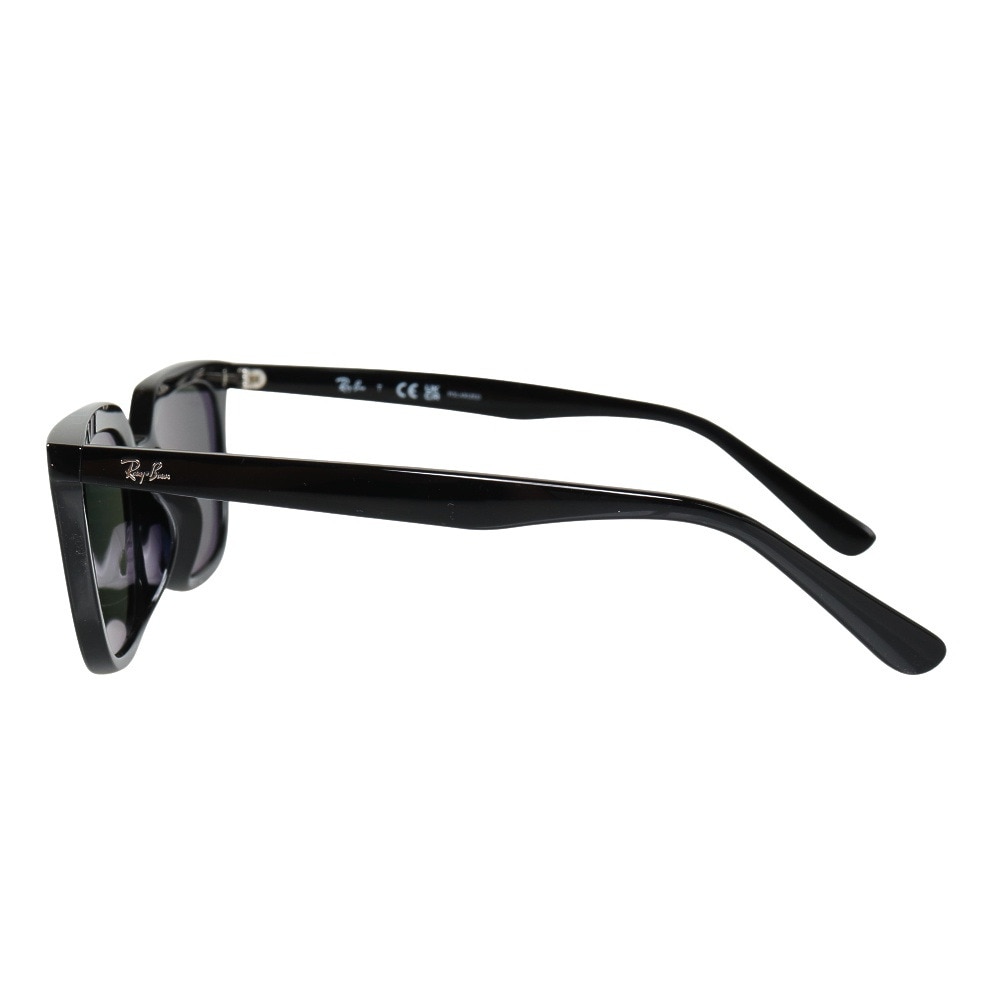 レイバン（RAY-BAN）（メンズ、レディース）サングラス RB4439D 4439D901/9A54 偏光レンズ ローブリッジフィット アイウェア