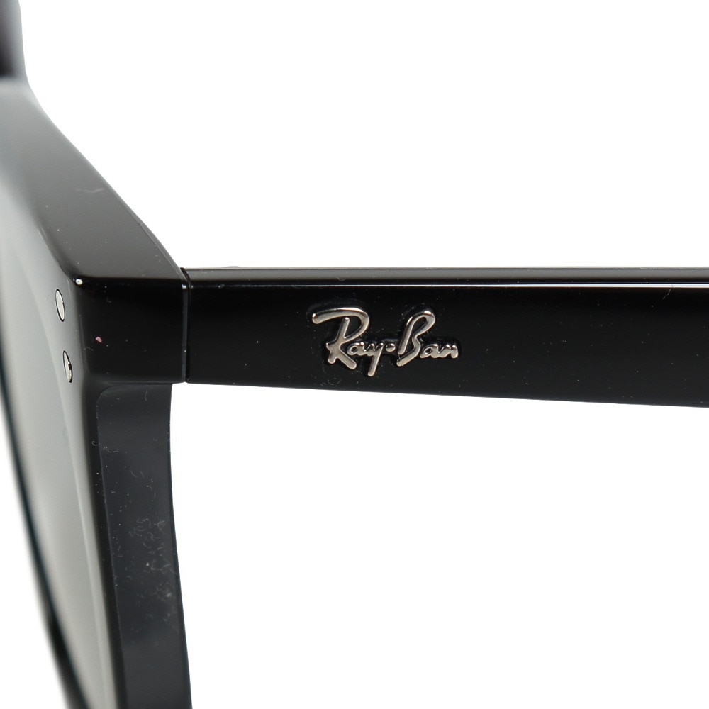 レイバン（RAY-BAN）（メンズ、レディース）サングラス RB4439D 4439D901/9A54 偏光レンズ ローブリッジフィット アイウェア
