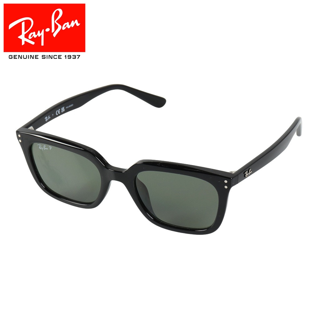 レイバン（RAY-BAN）（メンズ、レディース）サングラス RB4439D 4439D901/9A54 偏光レンズ ローブリッジフィット アイウェア