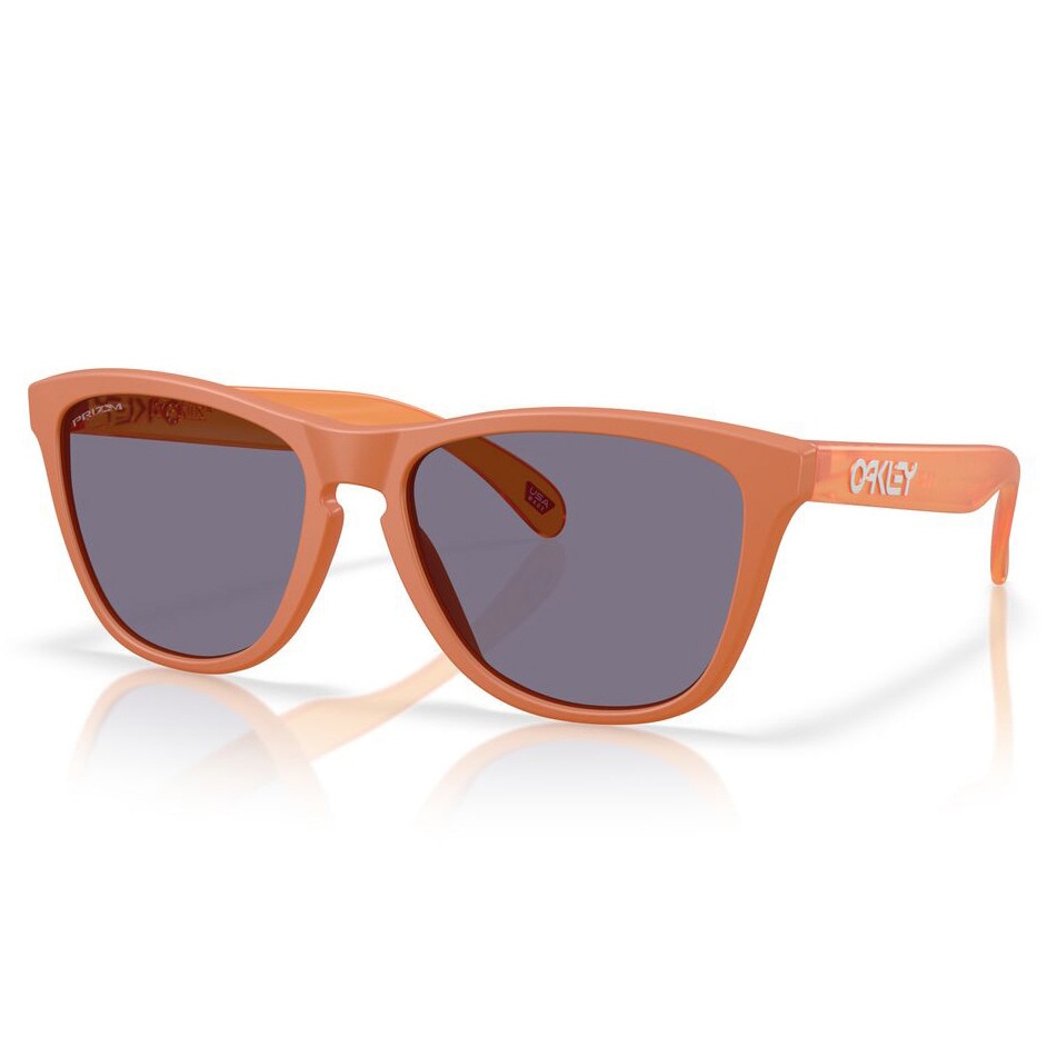 オークリー（OAKLEY）（メンズ、レディース）サングラス FROGSKINS A 9245E754
