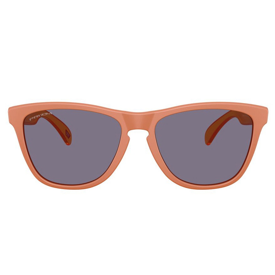 オークリー（OAKLEY）（メンズ、レディース）サングラス FROGSKINS A 9245E754