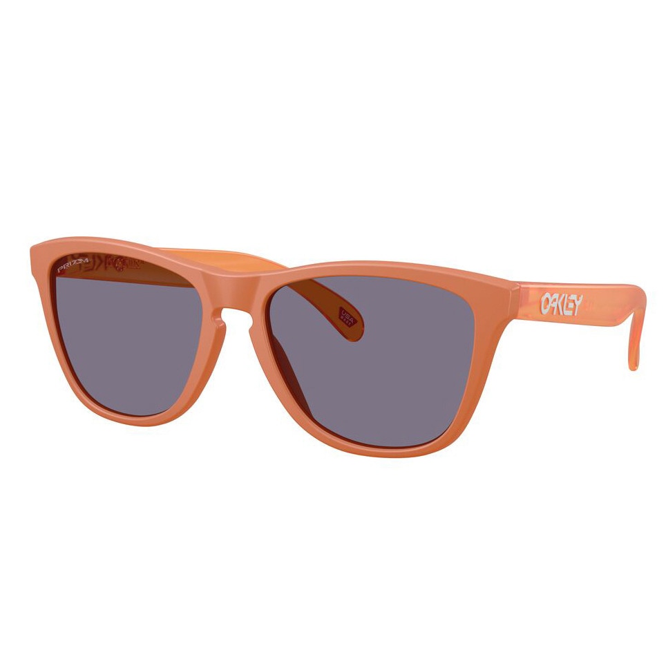 オークリー（OAKLEY）（メンズ、レディース）サングラス FROGSKINS A 9245E754
