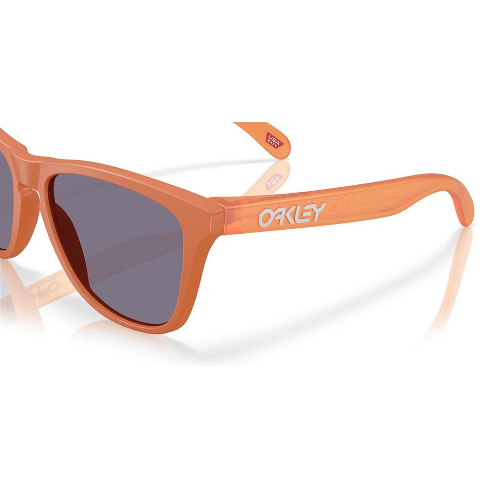オークリー（OAKLEY）（メンズ、レディース）サングラス FROGSKINS A 9245E754