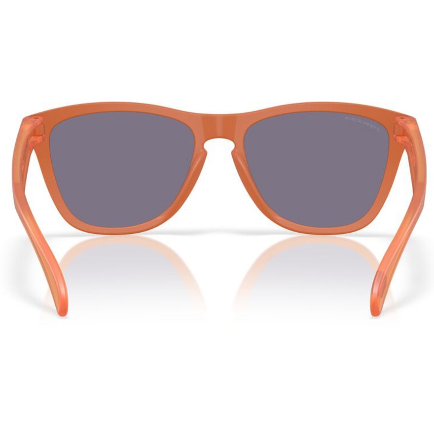 オークリー（OAKLEY）（メンズ、レディース）サングラス FROGSKINS A 9245E754