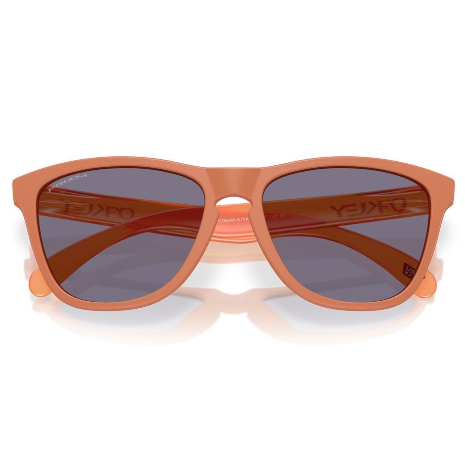 オークリー（OAKLEY）（メンズ、レディース）サングラス FROGSKINS A 9245E754
