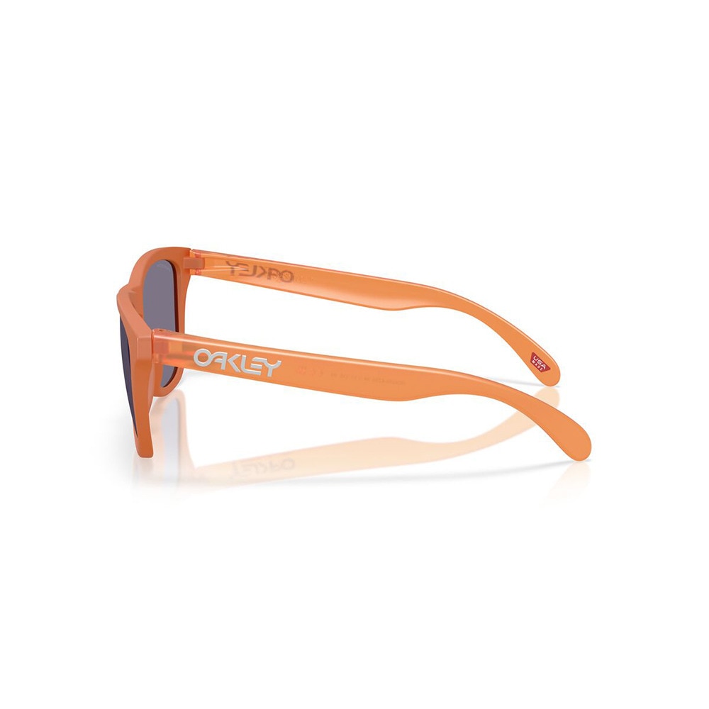 オークリー（OAKLEY）（メンズ、レディース）サングラス FROGSKINS A 9245E754